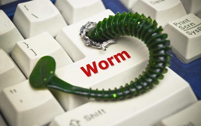 BirHosting computerworm index