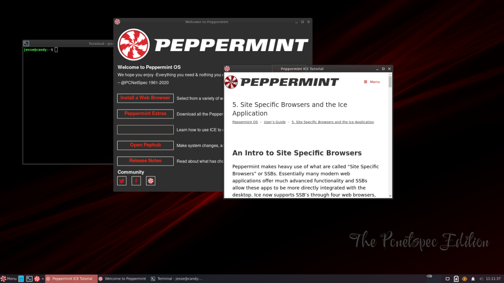 birhosting peppermint1