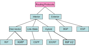 BirHostingRouterprotocols