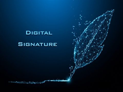 BirHosting digital sign