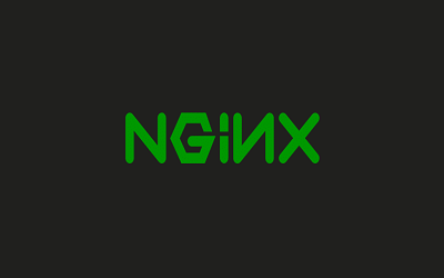nginx index