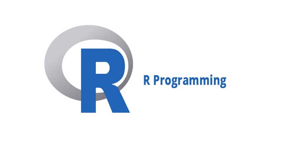 BirHosting articles Future programming language R