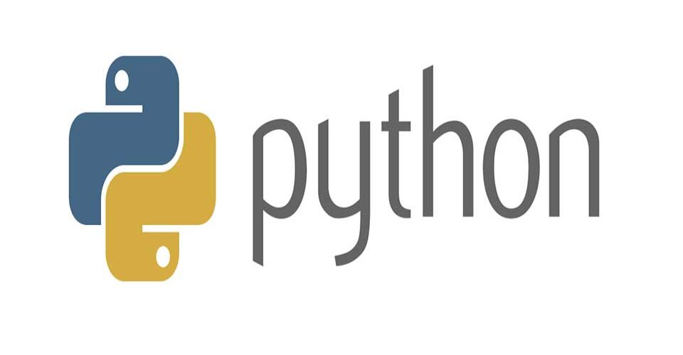 BirHosting articles Future programming language python