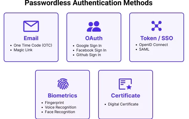 BirHosting articles Passwordless Authentication