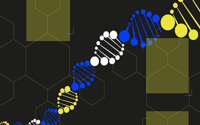 birhosting-article-Applications of genetic algorithm