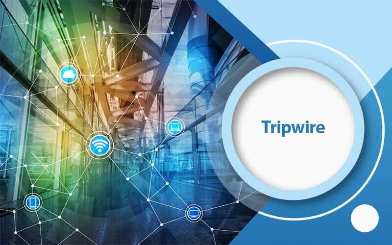 birhosting-article-tripwire